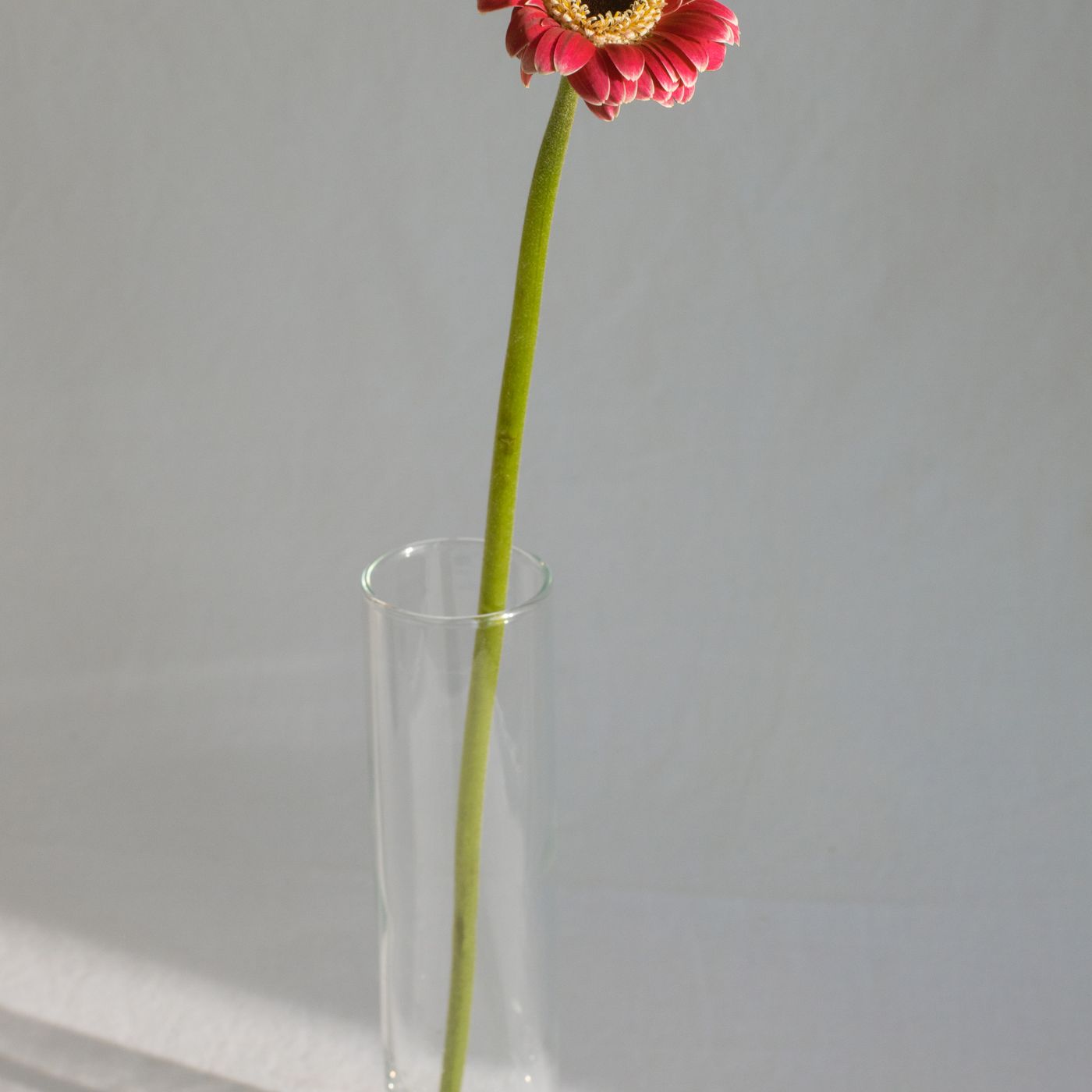 Bollard Plant Pot