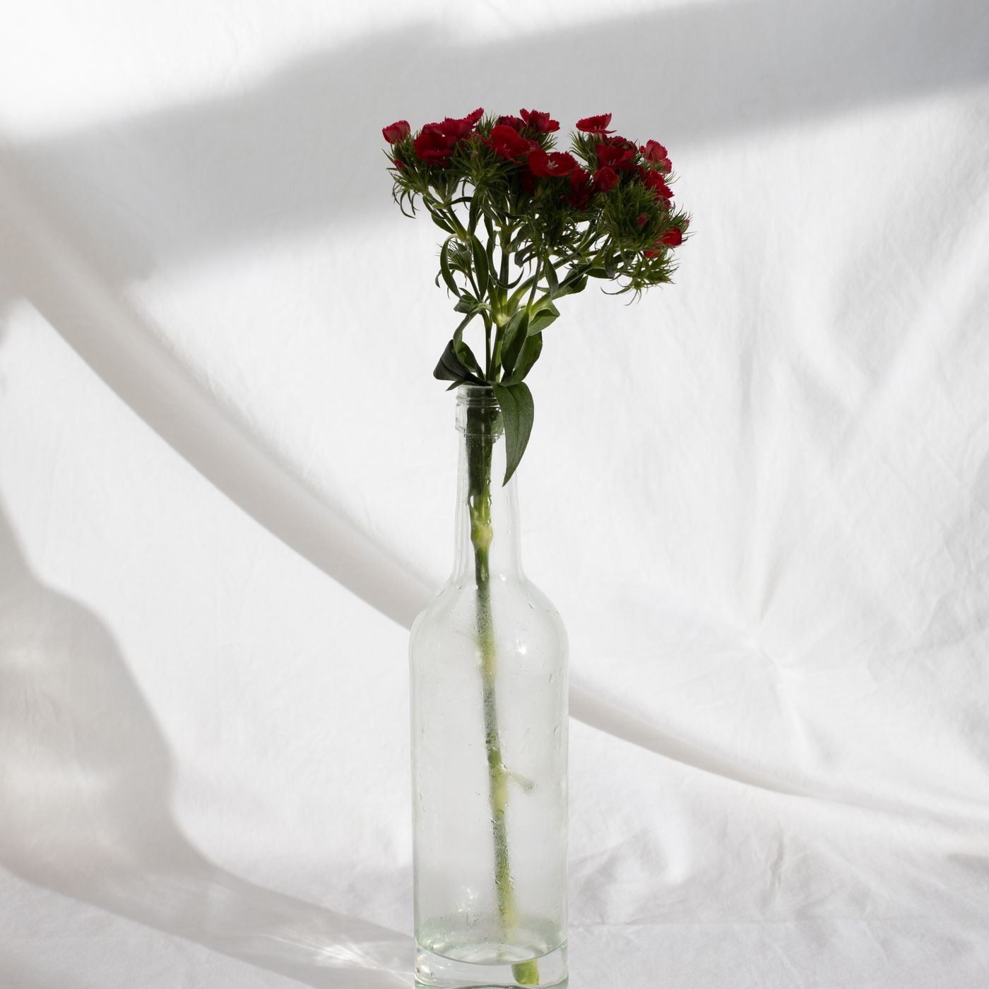 Creel Hanging Planter