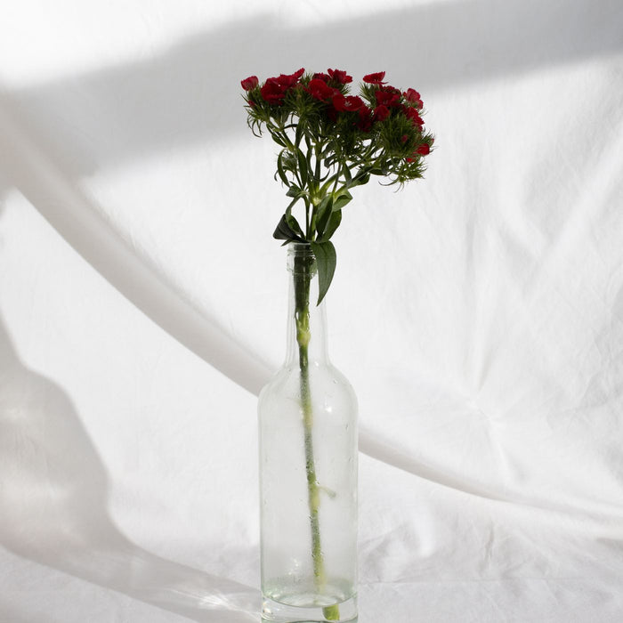 Creel Hanging Planter