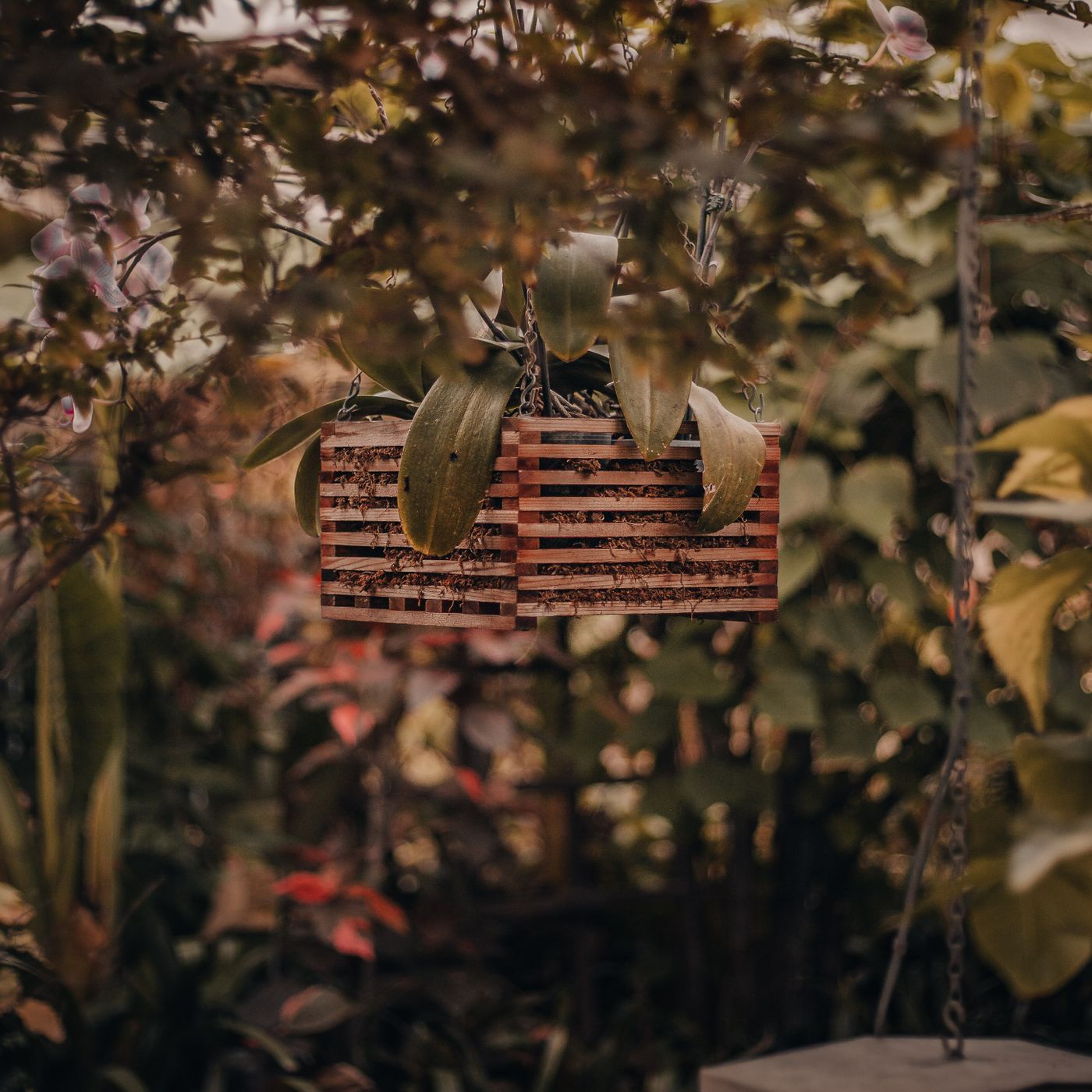 Buoy Shaped Pot