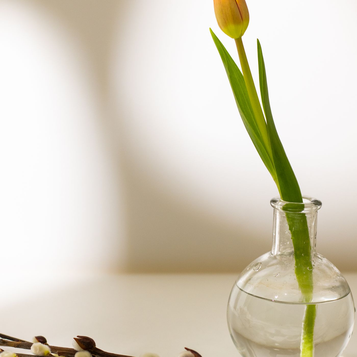 Tern Egg Seedling Pots